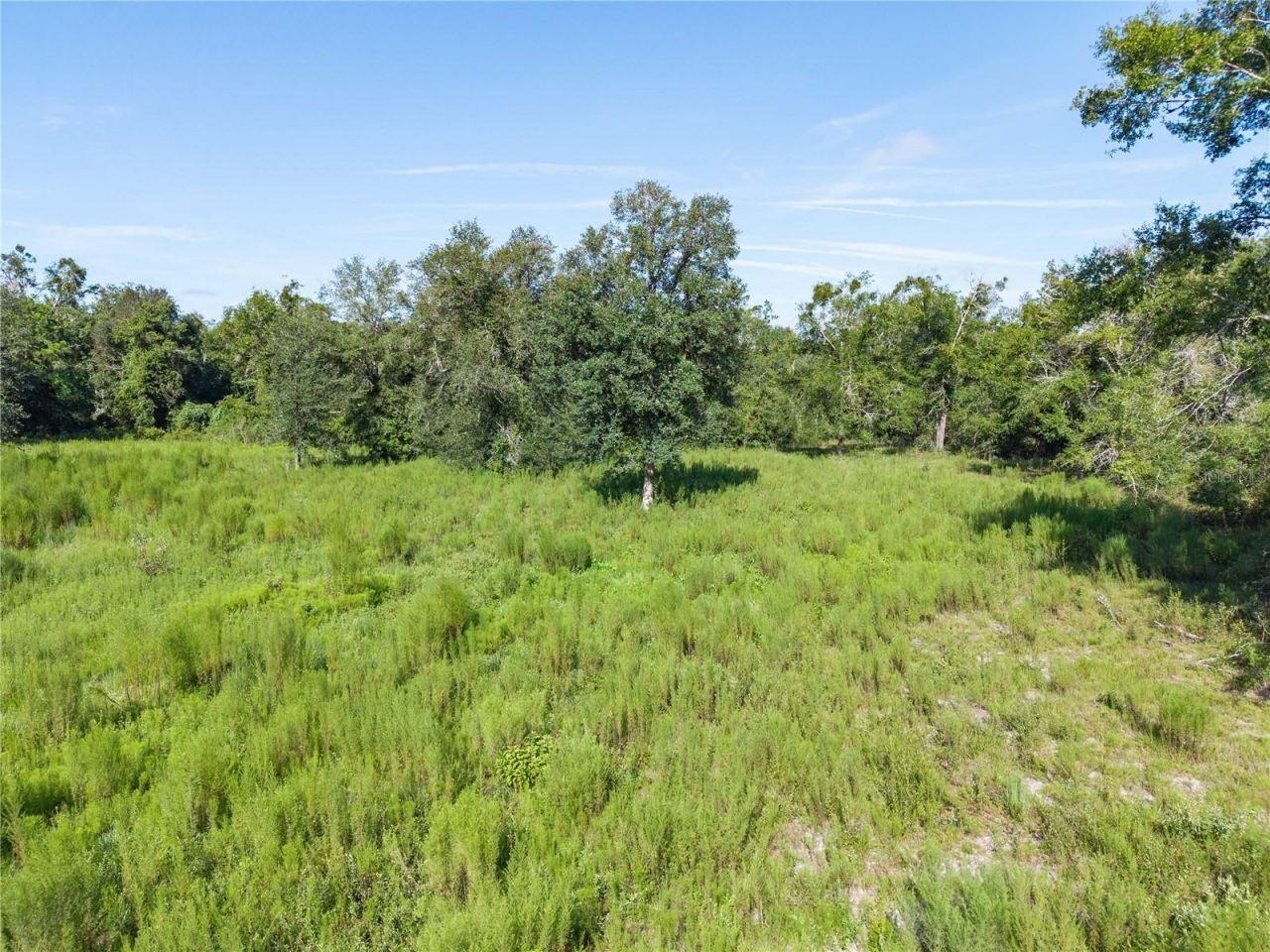 3901 181st Road, Live Oak, FL 32060 Photo