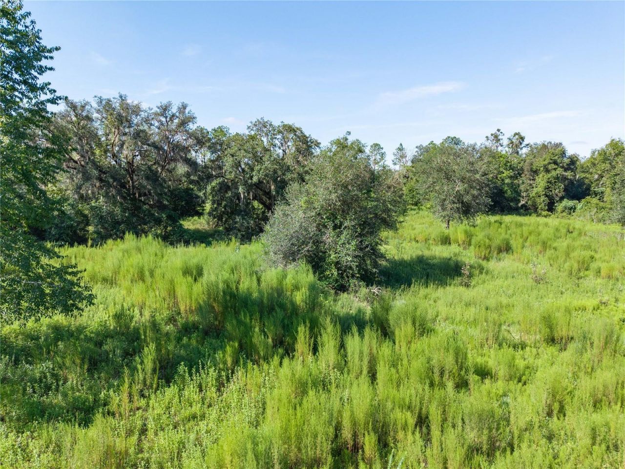 3901 181st Road, Live Oak, FL 32060 Photo