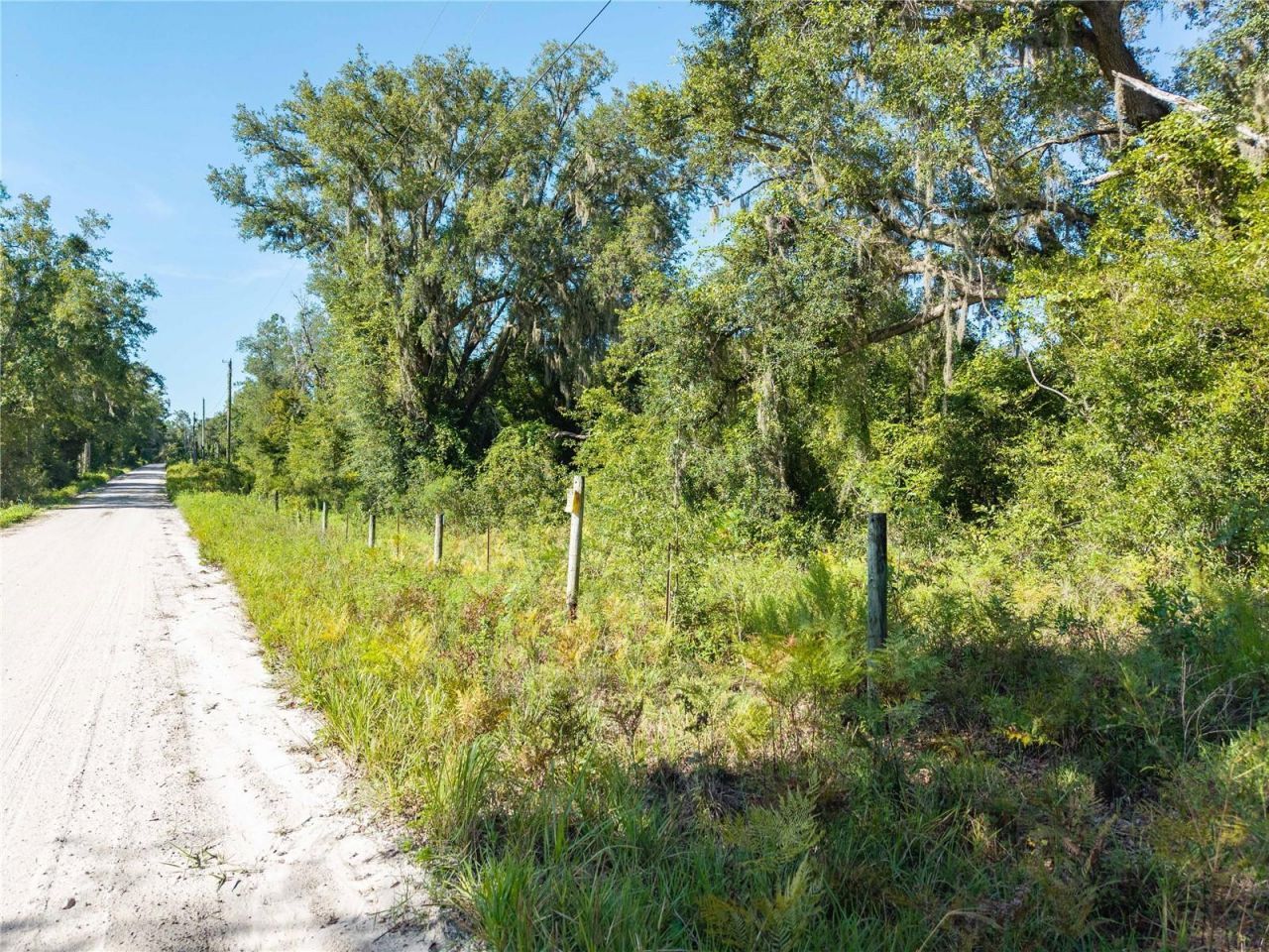 3901 181st Road, Live Oak, FL 32060 Photo