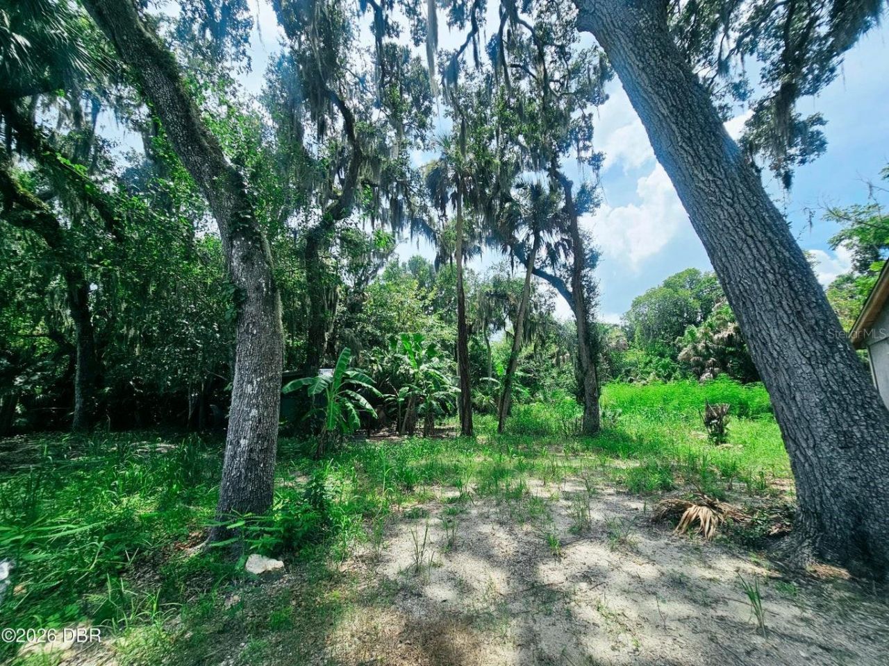 1922 Enterprise Avenue, New Smyrna Beach, FL 32168 Photo