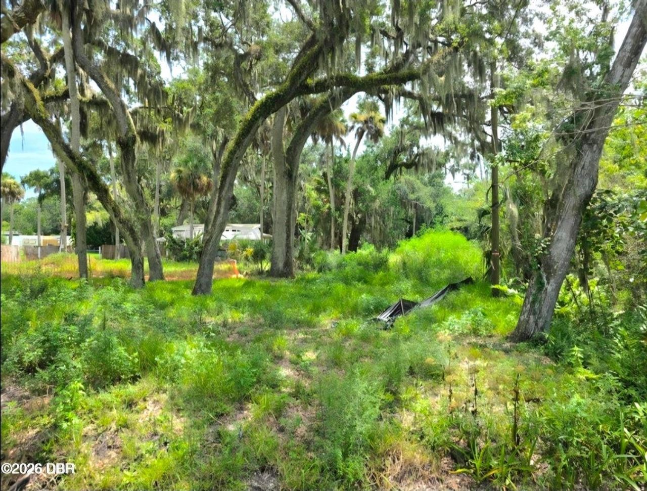 1922 Enterprise Avenue, New Smyrna Beach, FL 32168 Photo