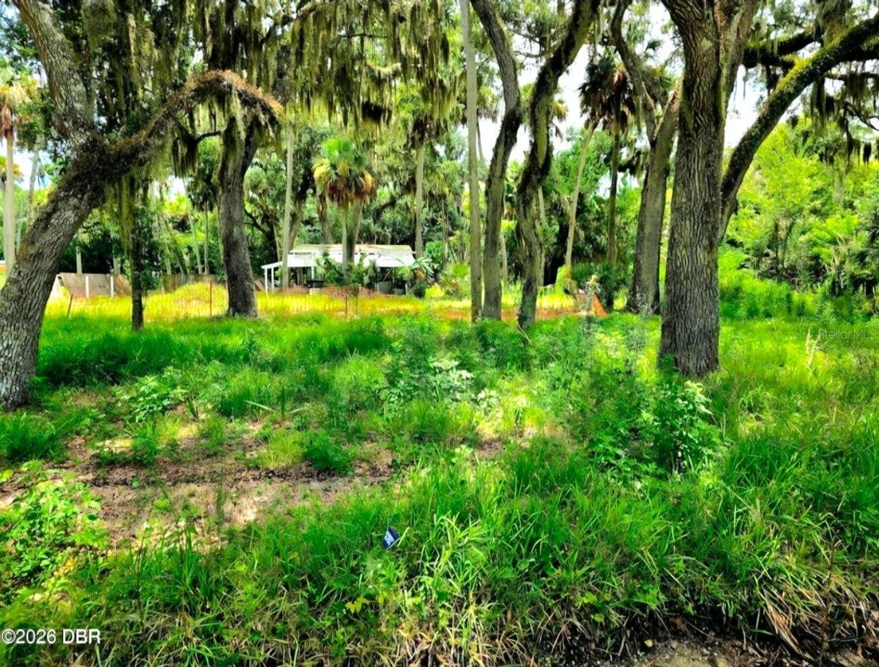 1922 Enterprise Avenue, New Smyrna Beach, FL 32168 Photo