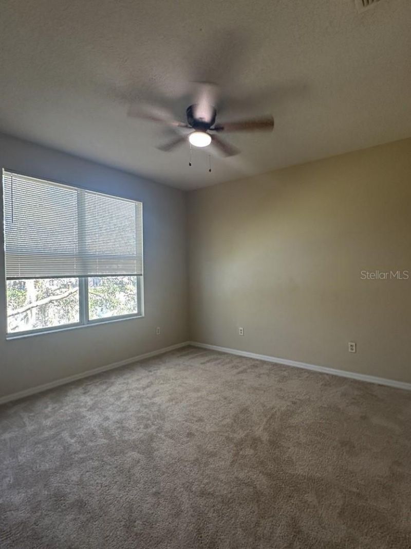 18048 Java Isle Drive, Tampa, FL 33647 Photo