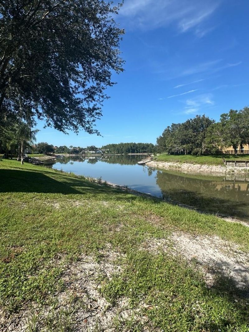 18048 Java Isle Drive, Tampa, FL 33647 Photo