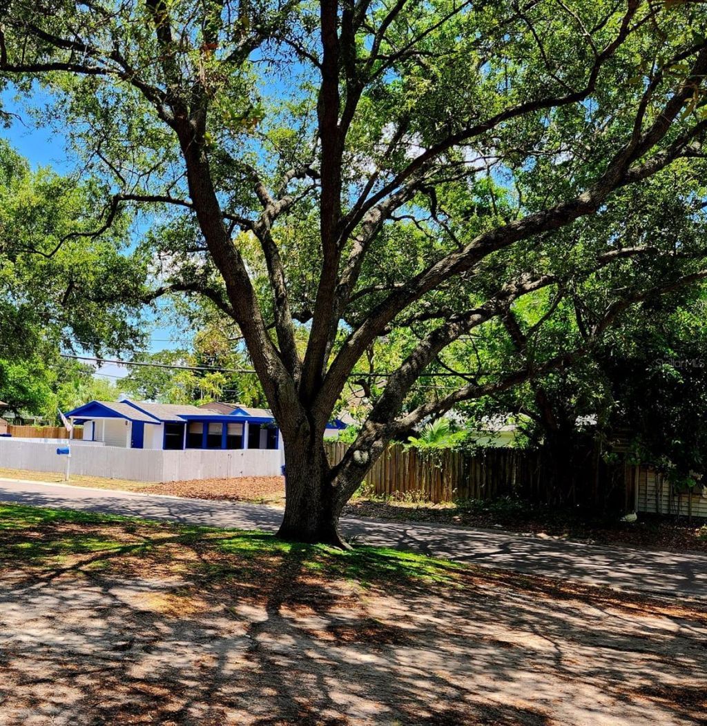 2801 18th Street N, Saint Petersburg, FL 33713 Photo
