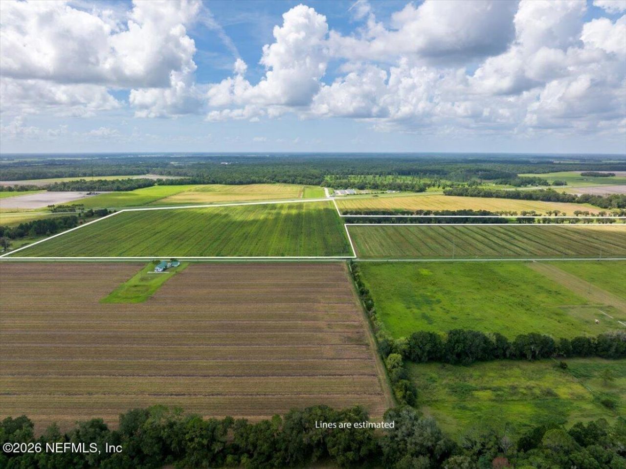 00 B 207 State Road, East Palatka, FL 32131 Photo