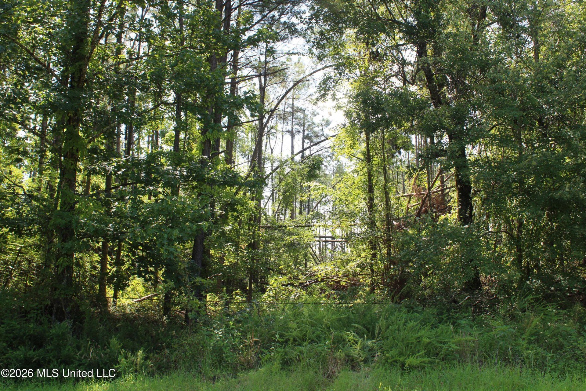 3001 Wilkins Chapel Road, Holly Springs, MS 38635 Main Photo
