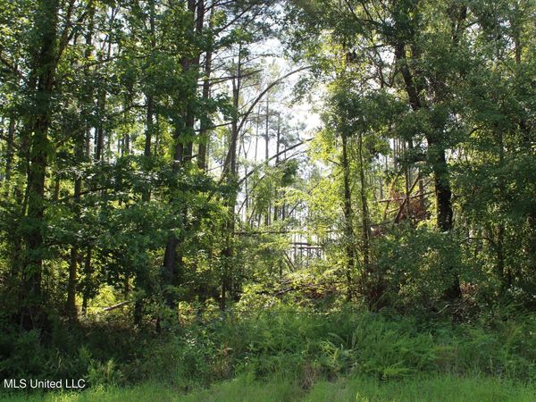 3001 Wilkins Chapel Road, Holly Springs, MS 38635