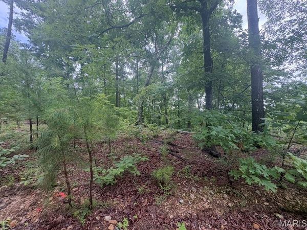0 County Road 447 , Redford, MO 63665