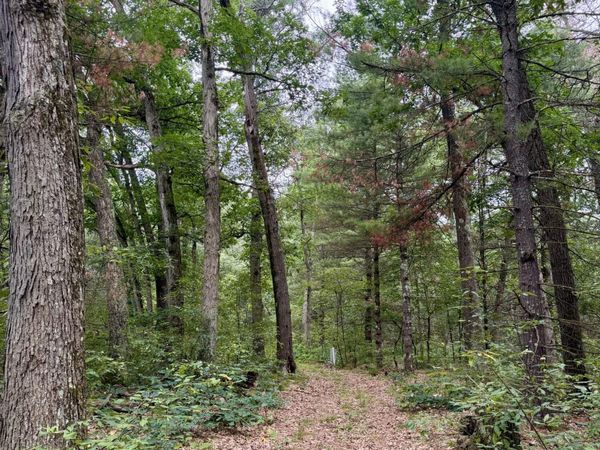 V/L Round Lake Drive, Unit Parcel 17, Holton, MI 49425