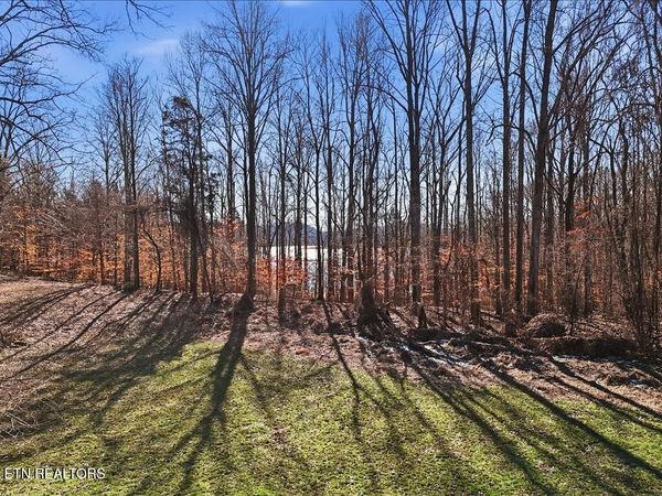 141 Red Cloud Lane, Rutledge, TN 37861