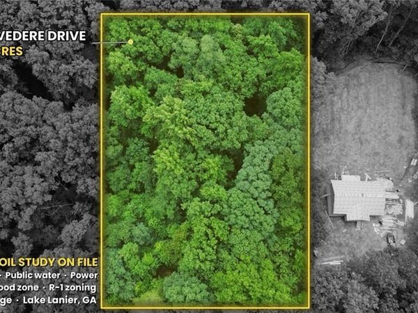 4230 Belvedere Drive, Gainesville, GA 30506