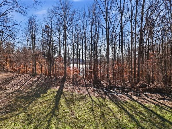 141 Red Cloud Lane, Rutledge, TN 37861