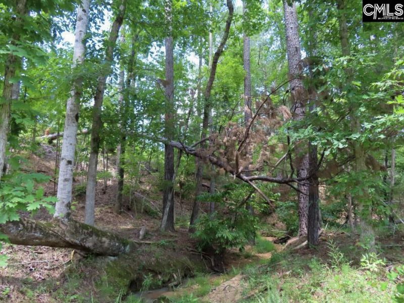 529 Martin Road  Photo 14