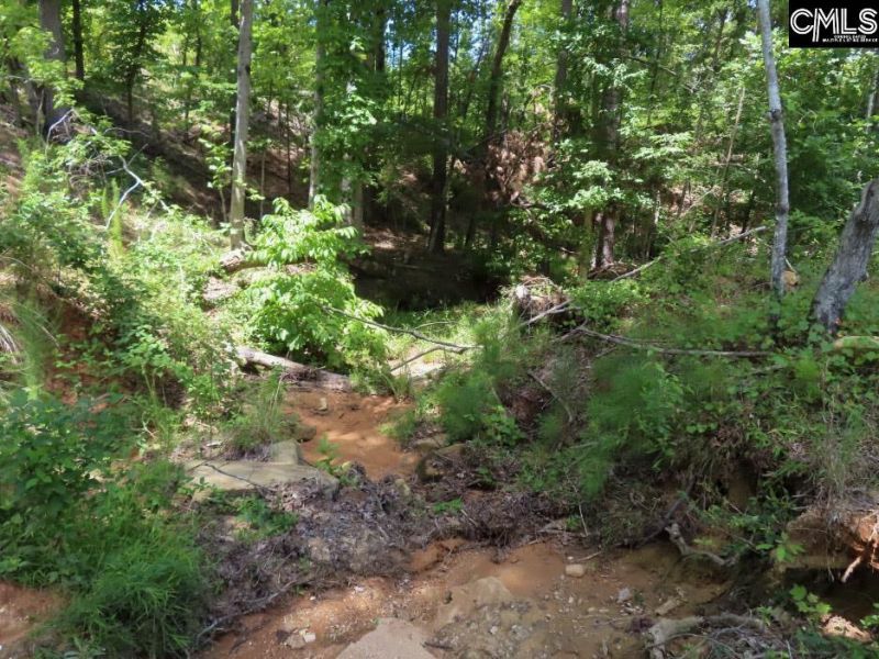 529 Martin Road  Photo 22