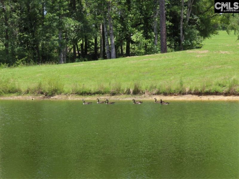 529 Martin Road  Photo 26