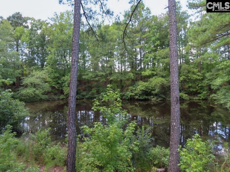 529 Martin Road  Photo 29
