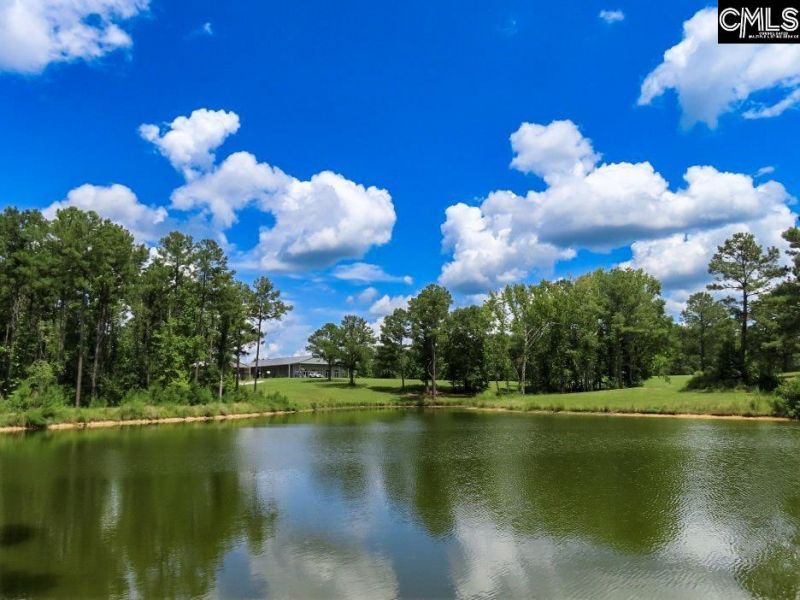 529 Martin Road  Photo 33