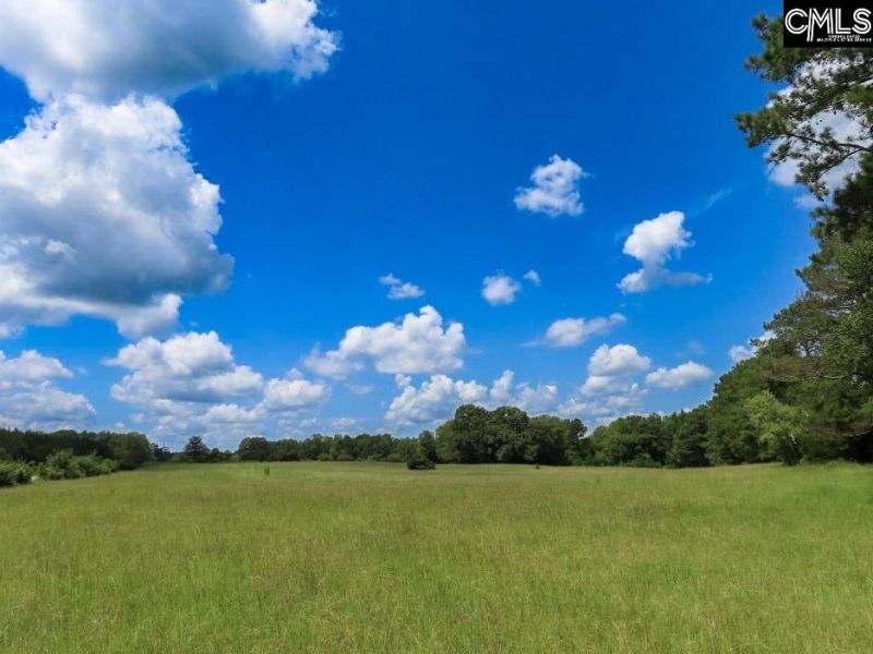 529 Martin Road  Photo 34