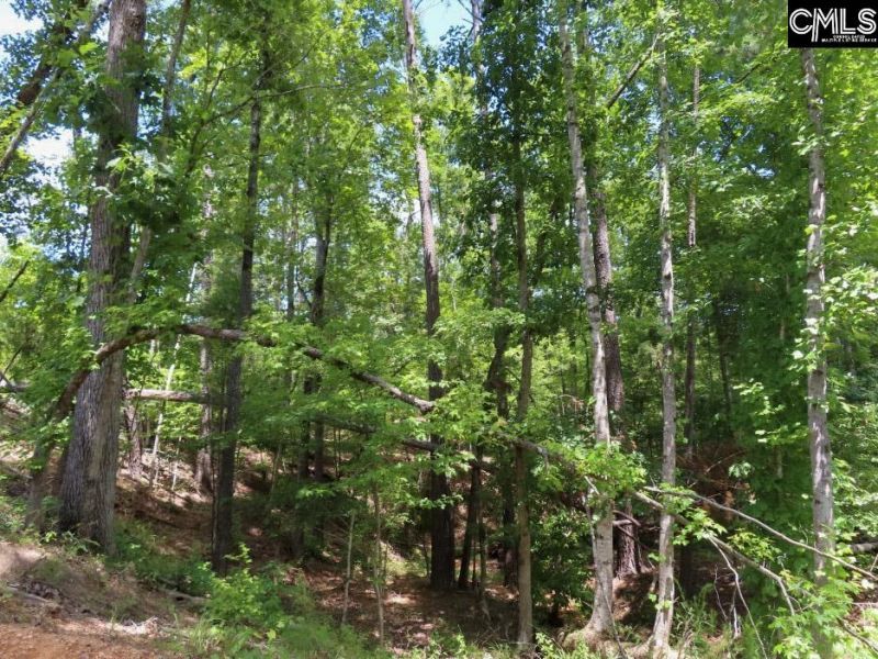 529 Martin Road  Photo 36