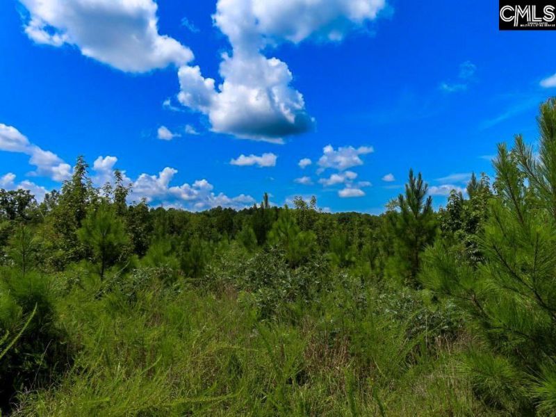 529 Martin Road  Photo 38