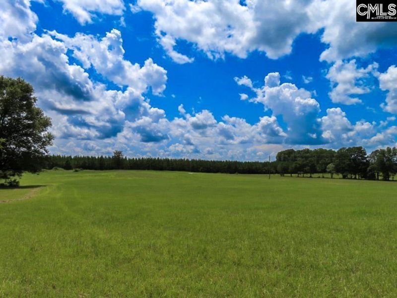 529 Martin Road  Photo 41
