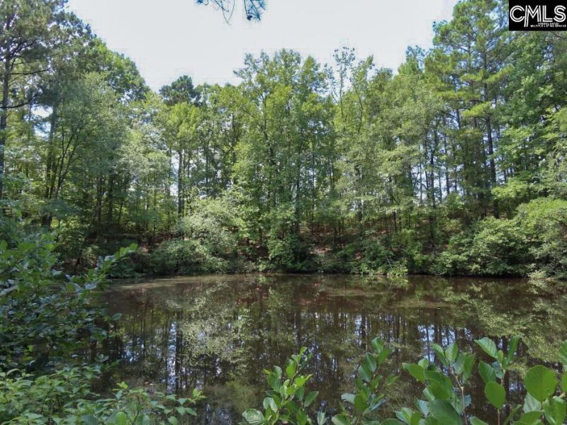 529 Martin Road  Photo 43
