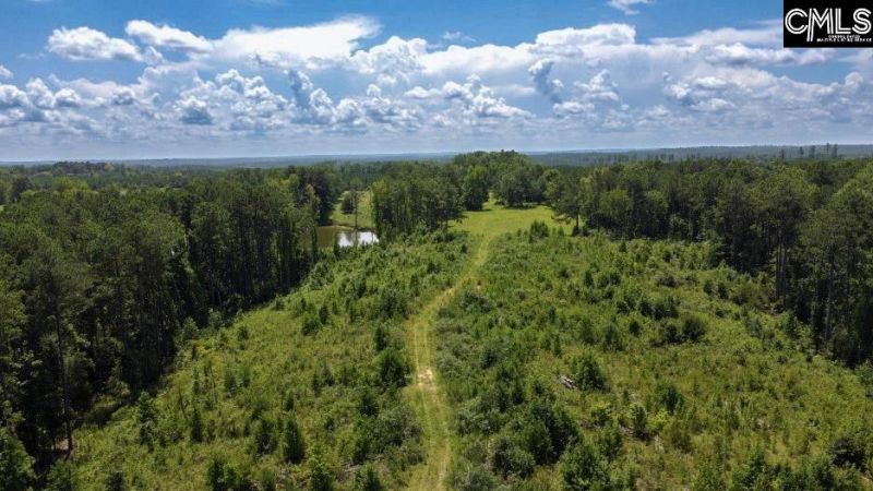 529 Martin Road  Photo 45