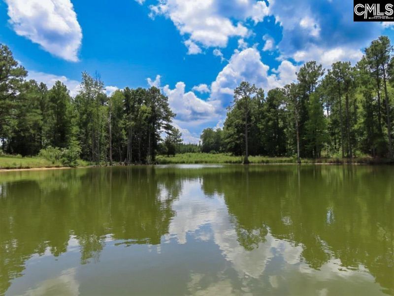 529 Martin Road  Photo 47