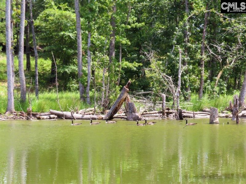 529 Martin Road  Photo 50