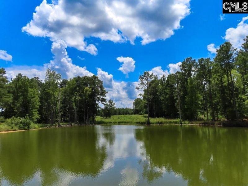 529 Martin Road  Photo 53