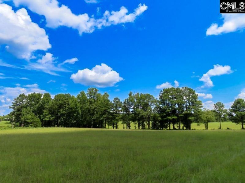 529 Martin Road  Photo 54