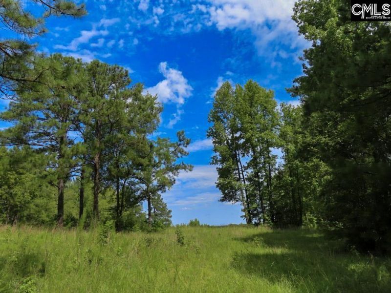 529 Martin Road  Photo 63