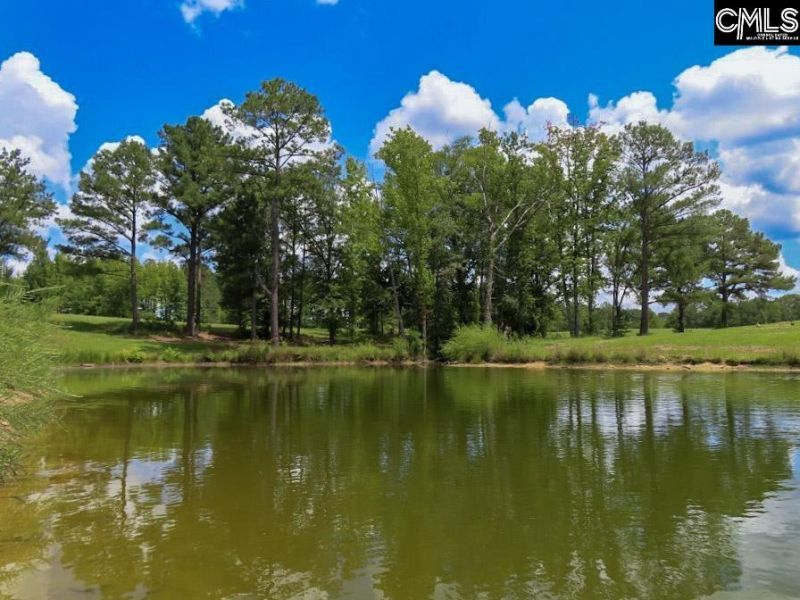 529 Martin Road  Photo 67