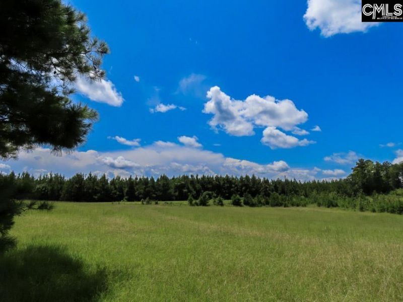 529 Martin Road  Photo 73