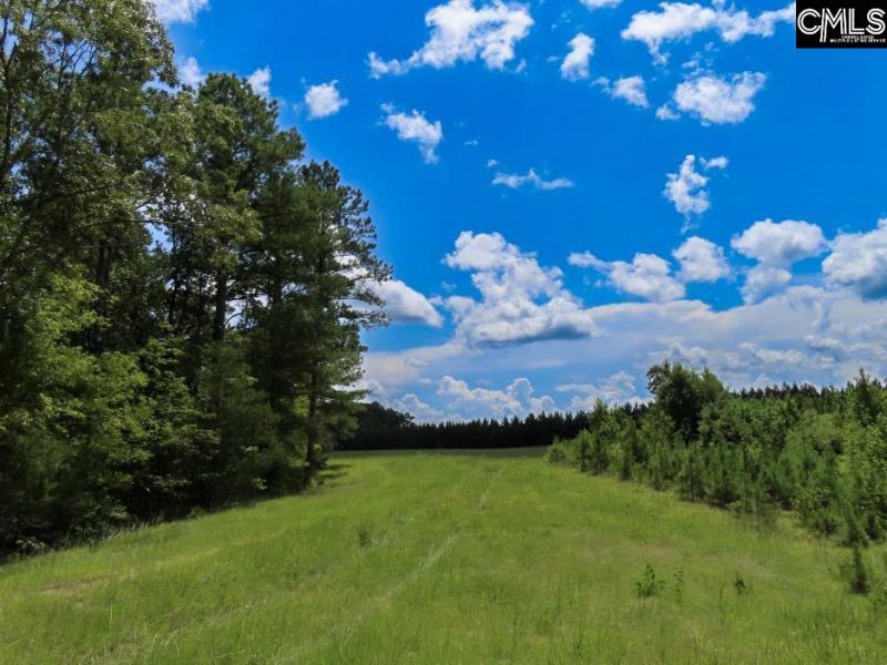 529 Martin Road  Photo 75