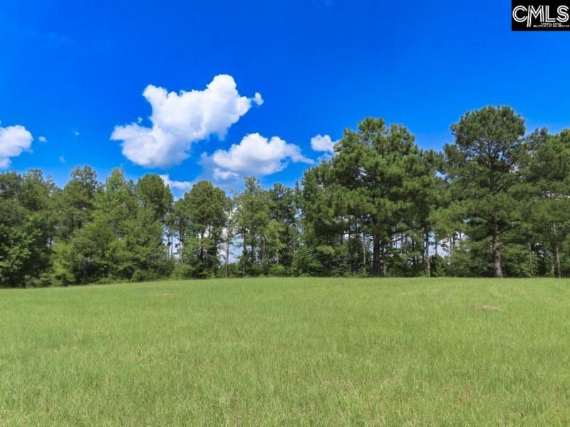 529 Martin Road  Photo 77