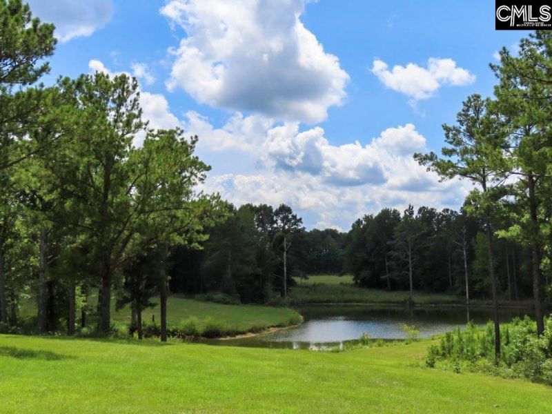 529 Martin Road  Photo 79
