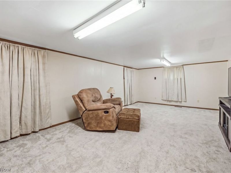 1 Wood Street, Leetonia, OH 44431 Photo 29