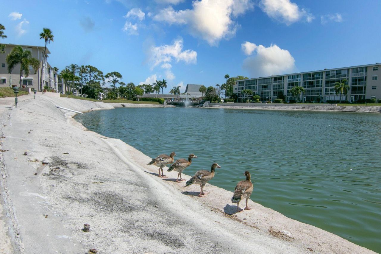 2812 Garden Drive S, Unit 101, Lake Worth Beach, FL 33461 Photo