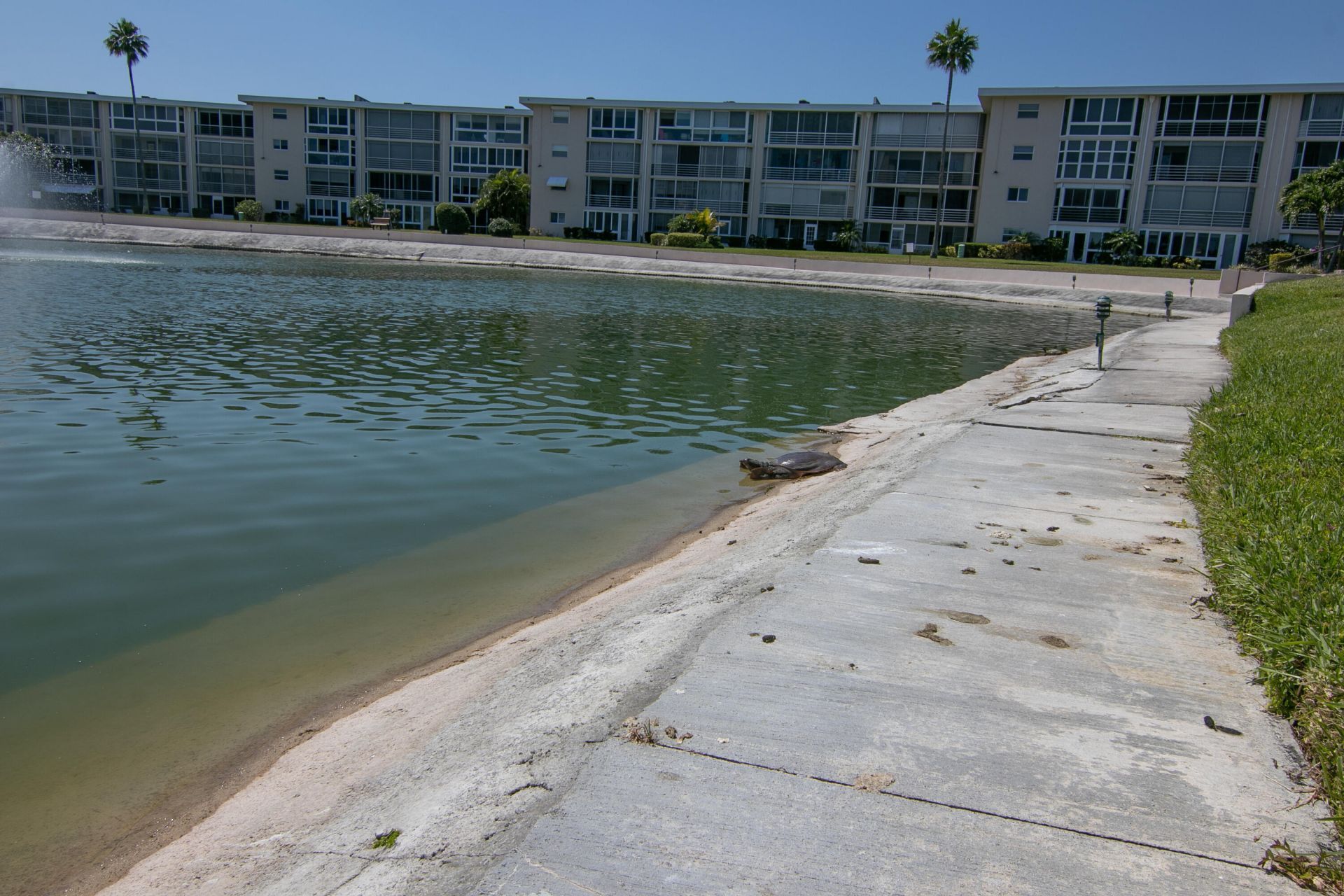 2812 Garden Drive S, Unit 101, Lake Worth Beach, FL 33461 Photo