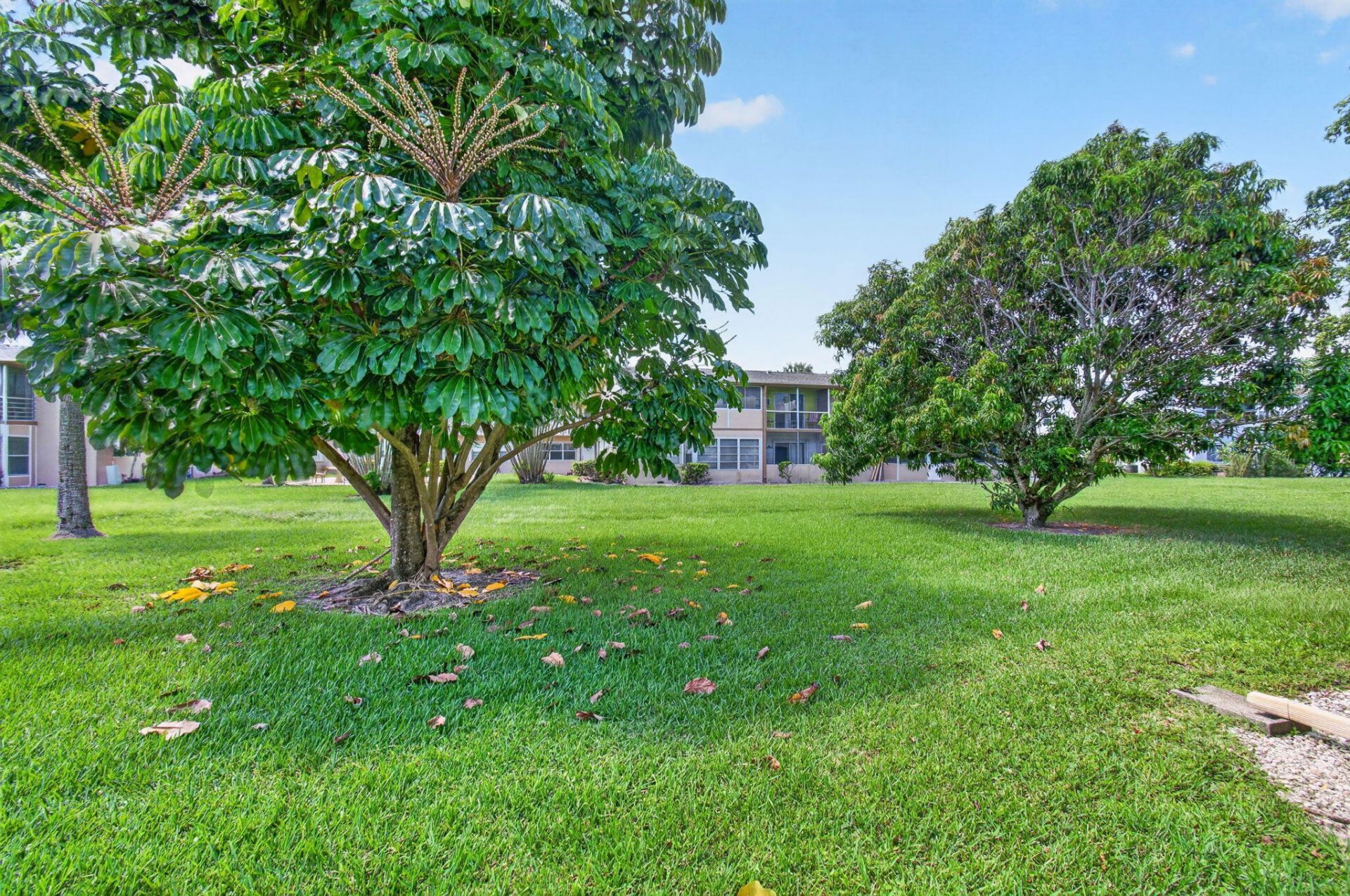 126 Norwich F, West Palm Beach, FL 33417 Photo