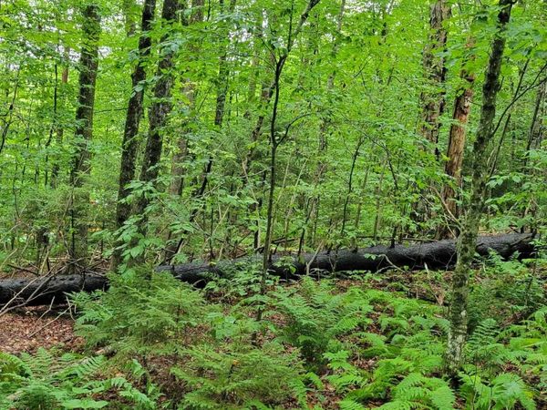 00 Heartwellville View Road, Unit 38, Readsboro, VT 05350