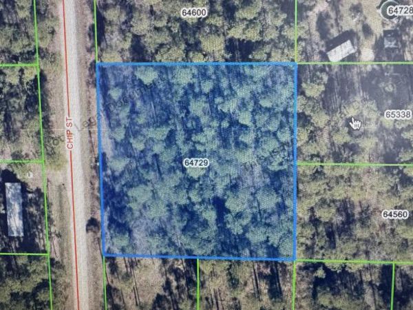 LOT 10 & 11 Chip St, Abita Springs, LA 70420