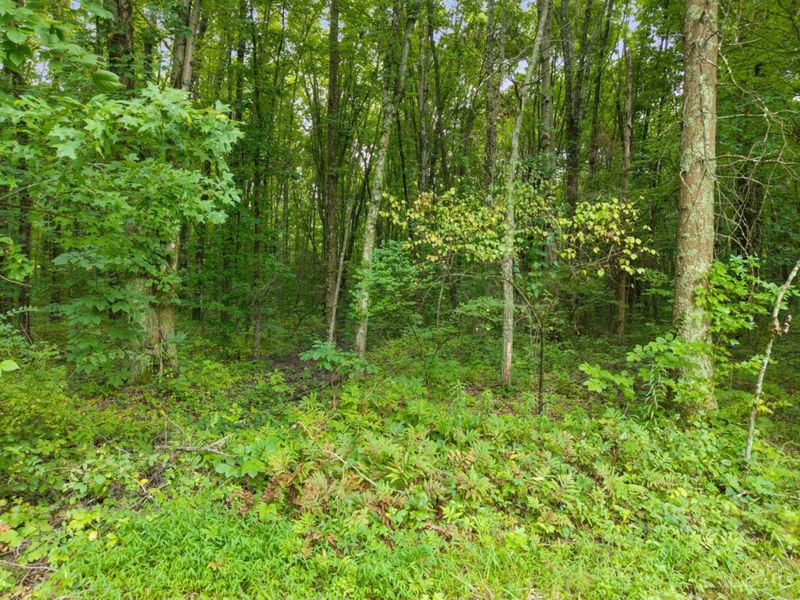 0 Moore Road, Tate Township, OH 45106 Photo 15