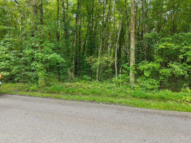 0 Moore Road, Tate Township, OH 45106 Photo 16