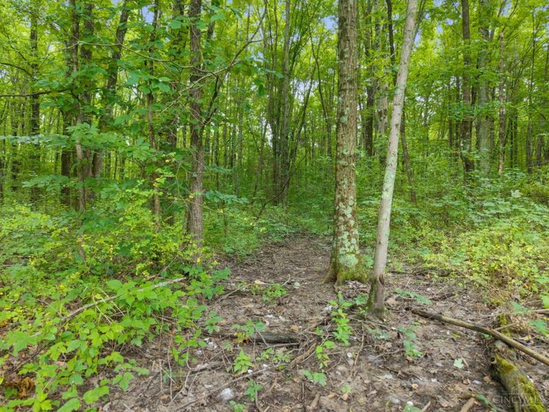 0 Moore Road, Tate Township, OH 45106 Photo 17