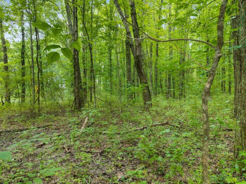 0 Moore Road, Tate Township, OH 45106 Photo 18