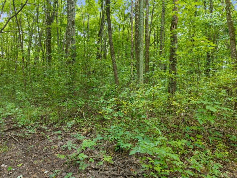 0 Moore Road, Tate Township, OH 45106 Photo 19