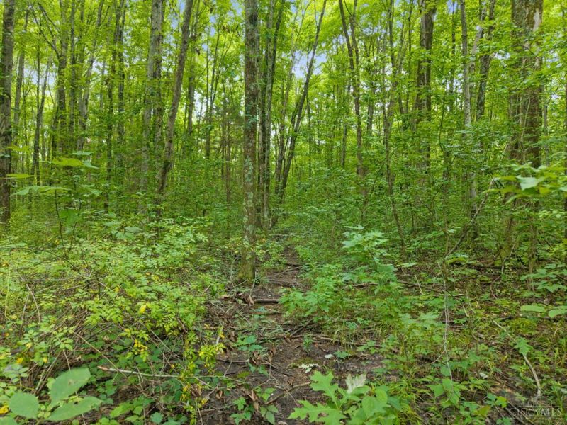 0 Moore Road, Tate Township, OH 45106 Photo 20